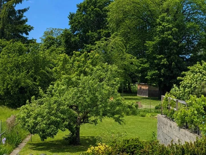 Grundstück kaufen in Tulln – 953 m², € 549.000