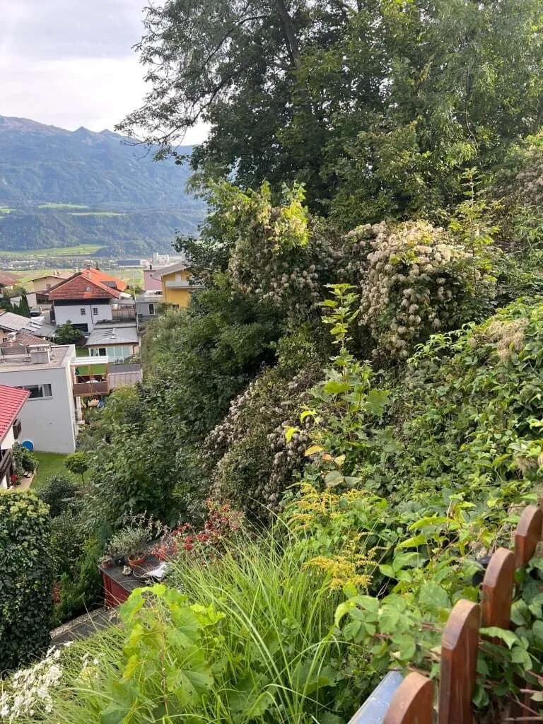 Grundstück kaufen in Innsbruck-Land – 932 m², € 500.000 – Bild 2 von 5