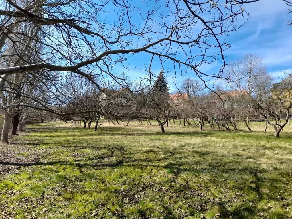 Immobilie kaufen in Hartberg-Fürstenfeld – 701 m², € 85.000 – Bild 1 von 2