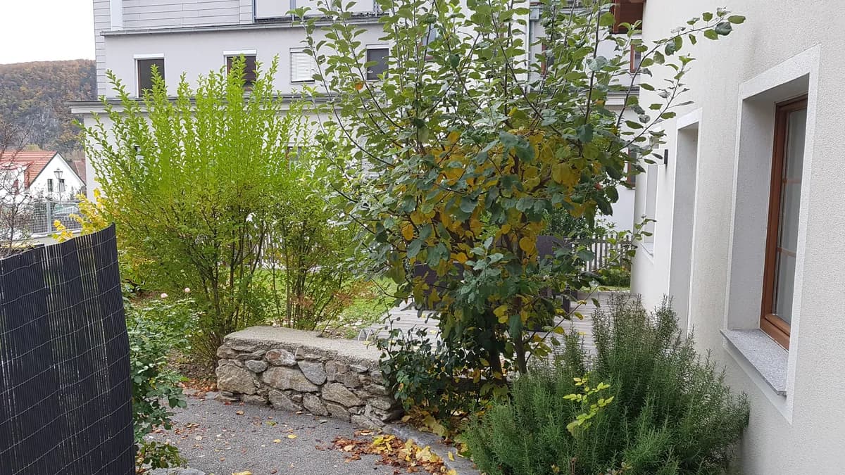 Wohnung kaufen in Krems Land – 170 m², € 584.000 – Bild 2 von 13