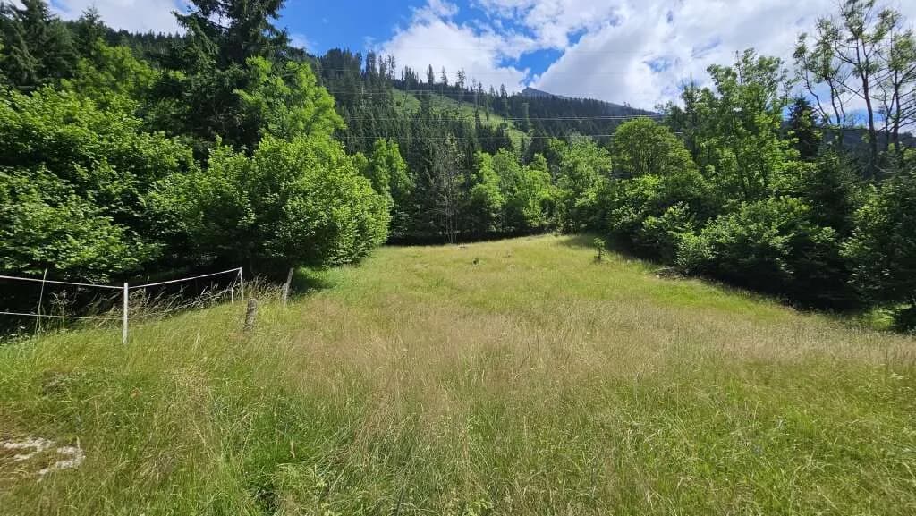 Grundstück kaufen in Spittal an der Drau – 3 121 m², € 189.000 – Bild 5 von 9