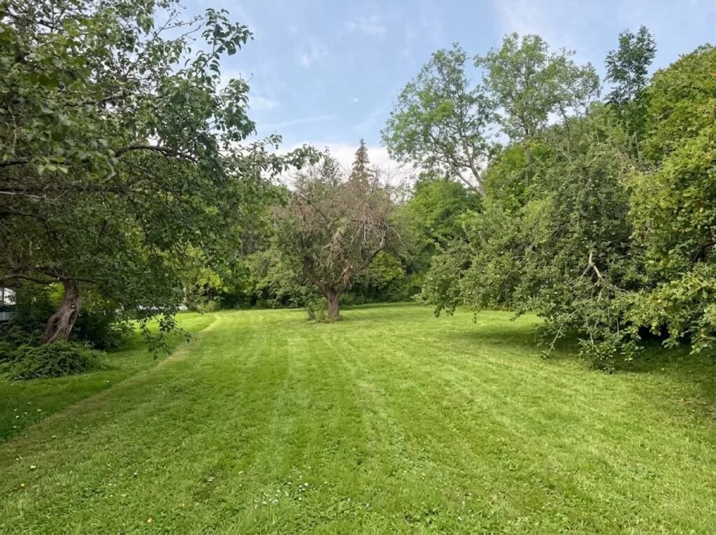 Grundstück kaufen in Mödling – 1 078 m², € 297.000