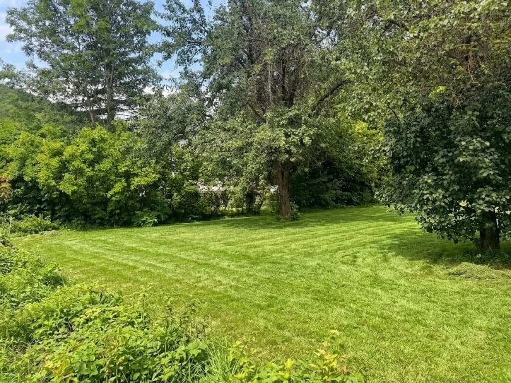 Grundstück kaufen in Mödling – 1 078 m², € 297.000 – Bild 2 von 3