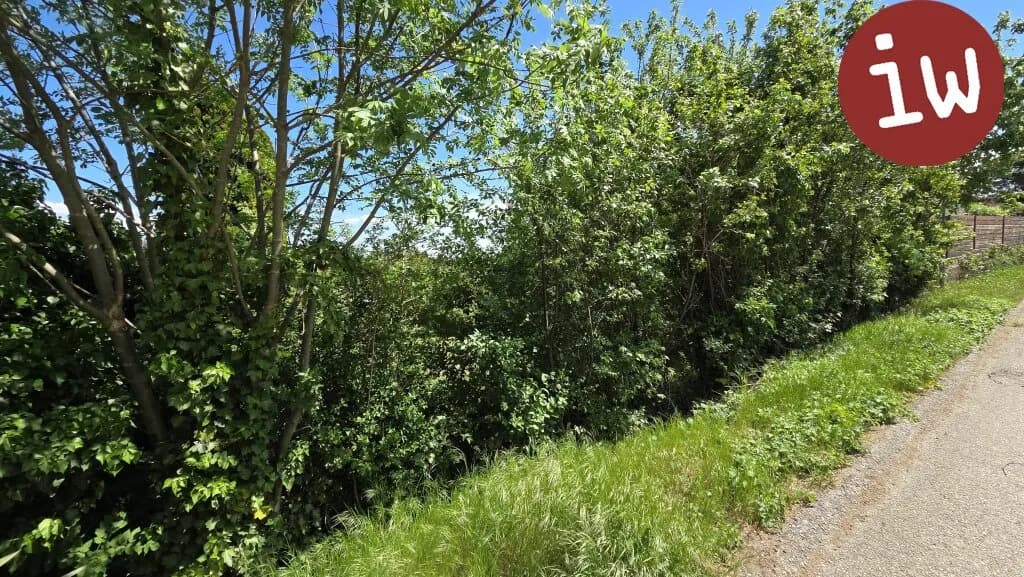 Grundstück kaufen in Mattersburg – 630 m², € 197.000 – Bild 4 von 6