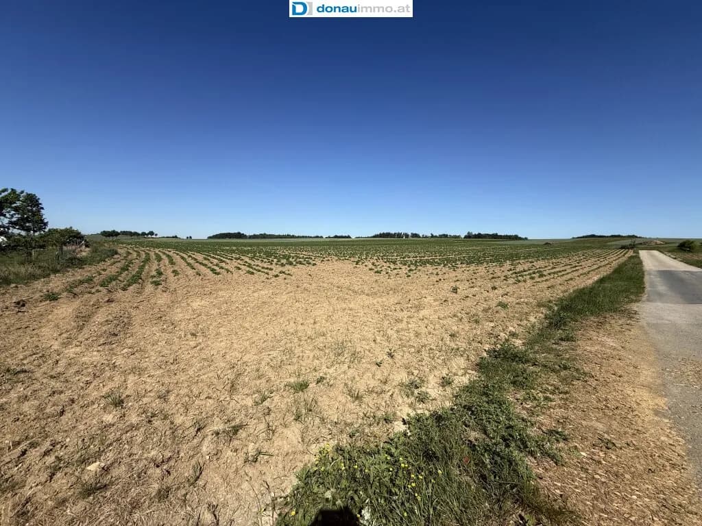 Immobilie kaufen in Horn – 4 500 m², € 112.500