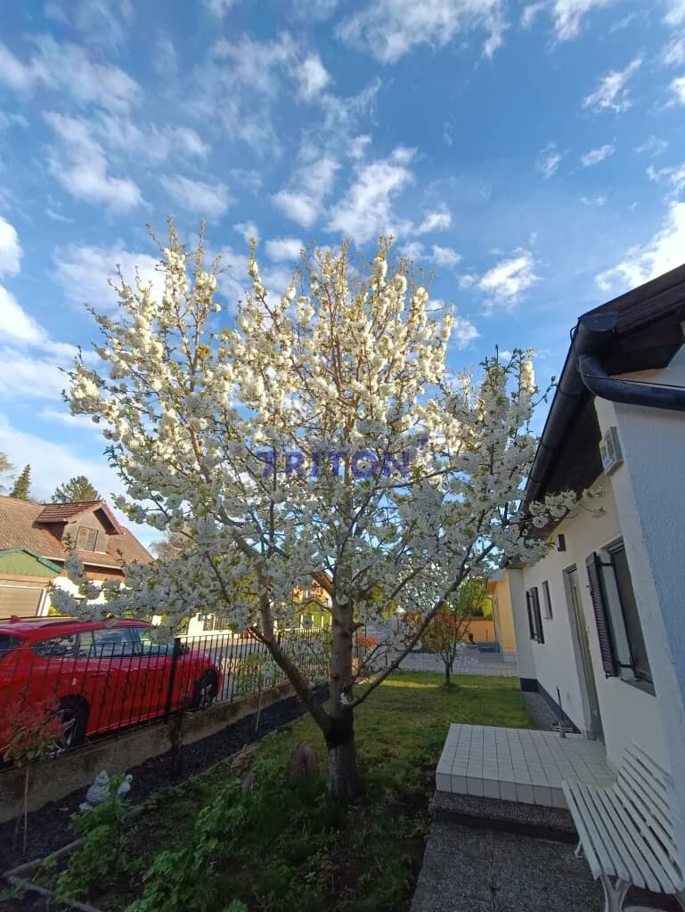 Haus kaufen in Eisenstadt - Umgebung – 73 m², € 130.000 – Bild 31 von 41