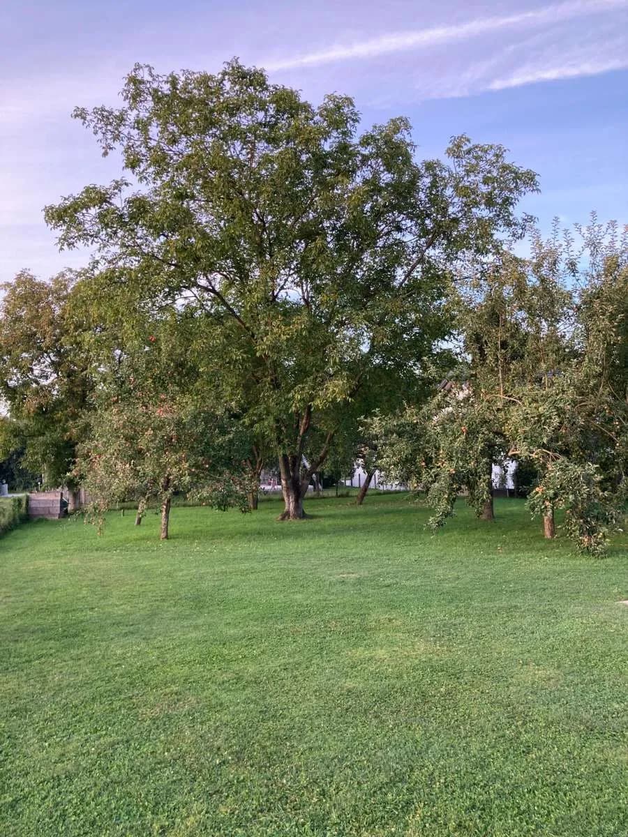 Haus kaufen in Schärding – 200 m², € 799.000 – Bild 17 von 32