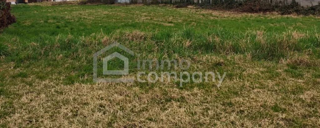 Grundstück kaufen in Neusiedl am See – 1 140 m²
