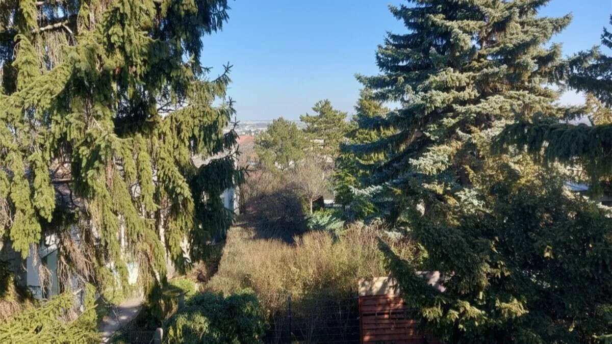 Haus kaufen in Mödling – 63 m², € 274.000 – Bild 2 von 5