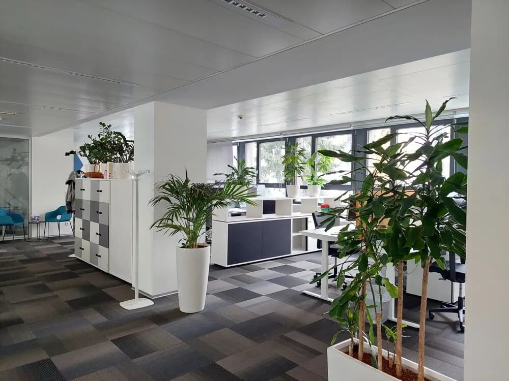 Gewerbeimmobilie mieten in Graz – 194 m², € 13 – Bild 2 von 6