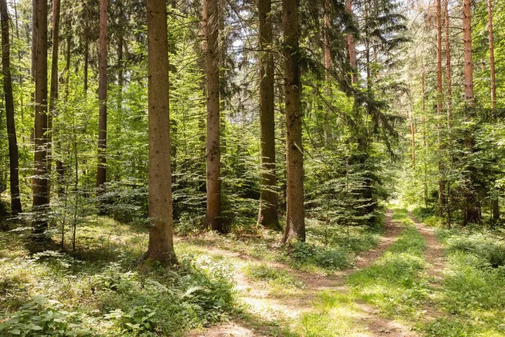 Immobilie kaufen in Sankt Pölten – € 780.000 – Bild 11 von 15