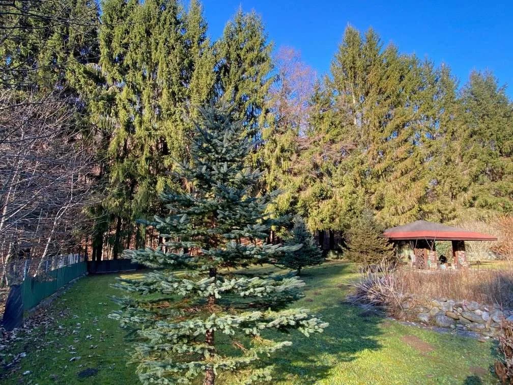 Grundstück kaufen in Graz – 1 022 m², € 129.000 – Bild 1 von 3