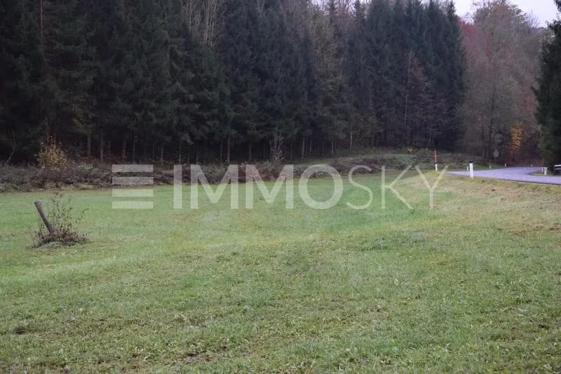 Immobilie kaufen in Urfahr-Umgebung – 3 372 m², € 140.000 – Bild 2 von 5