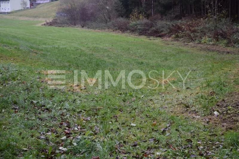 Immobilie kaufen in Urfahr-Umgebung – 3 372 m², € 140.000 – Bild 4 von 5