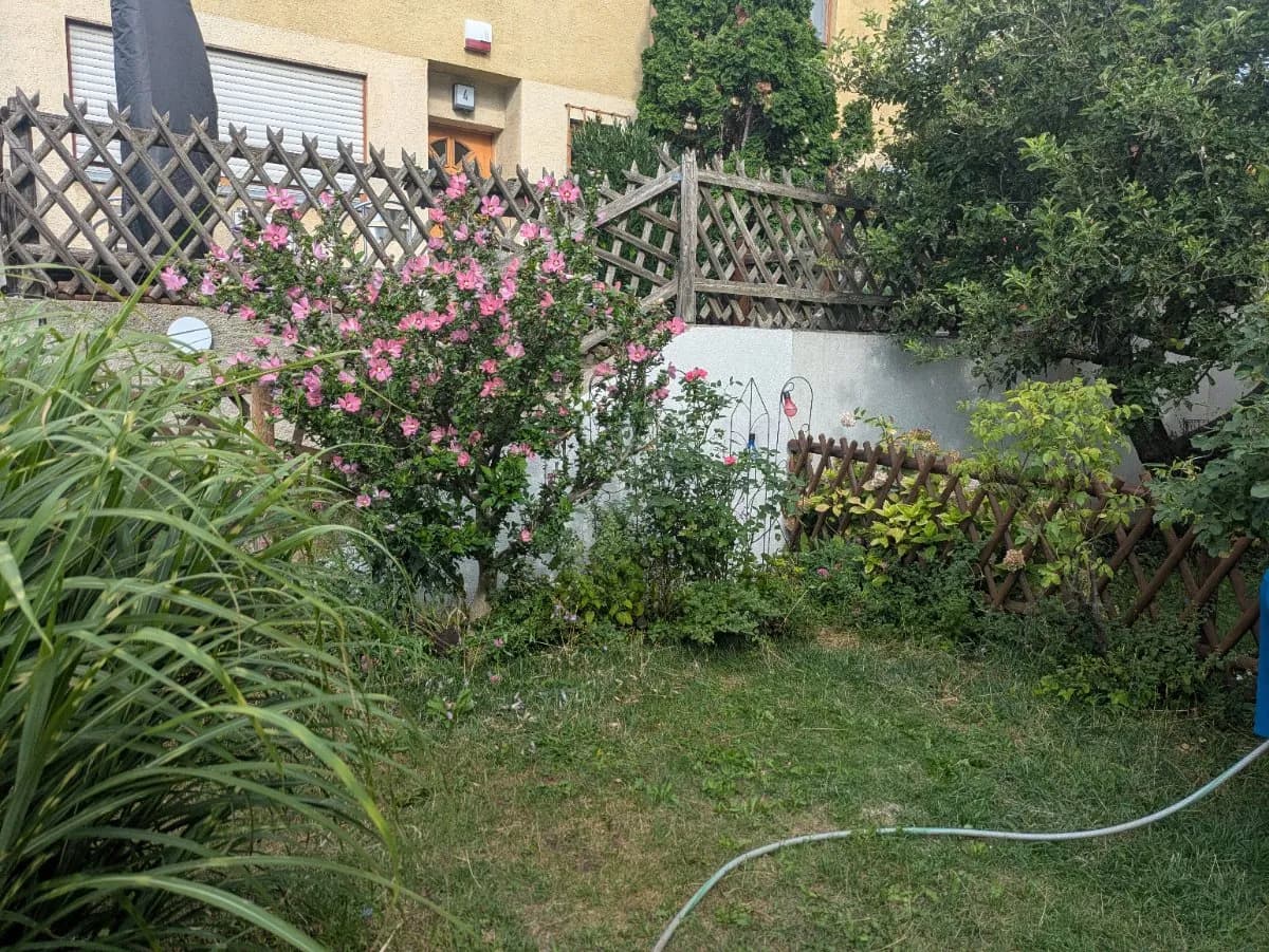 5-Zimmer-Haus mieten in Wien – 160 m², € 1.920 – Bild 11 von 11
