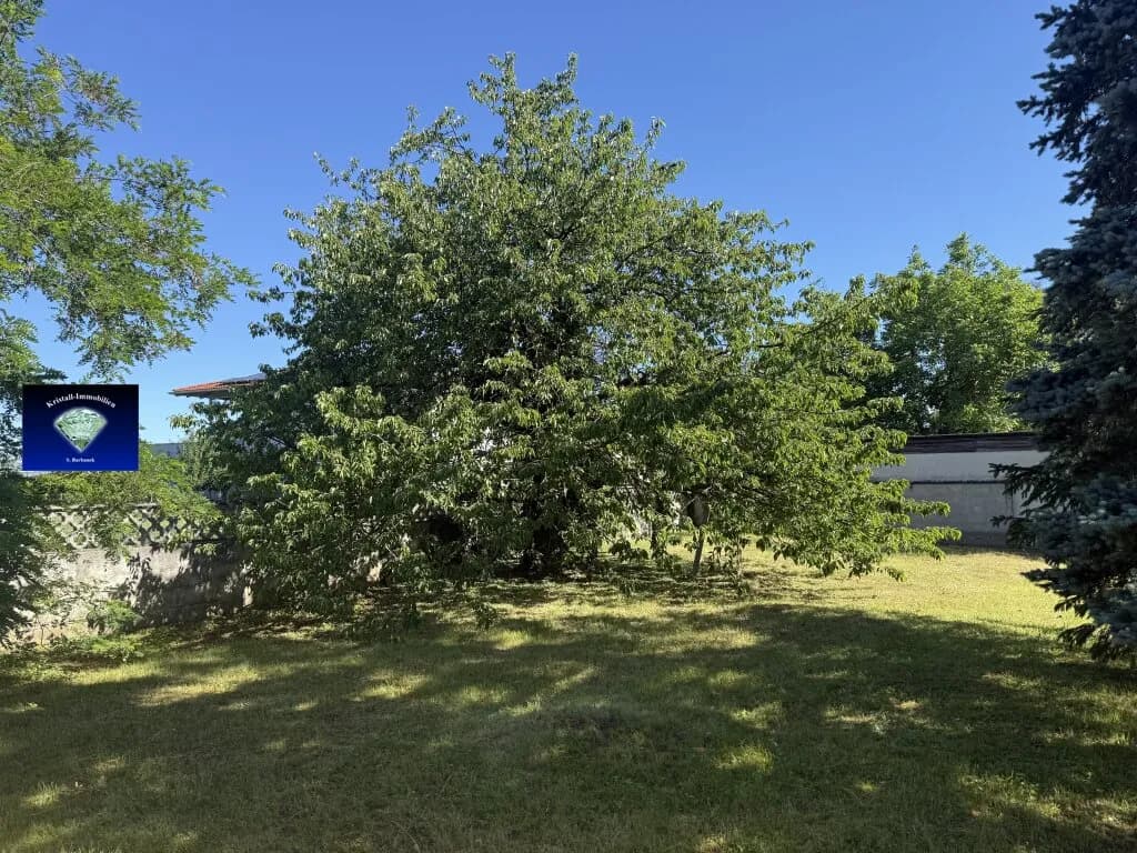 4-Zimmer-Haus kaufen in Wiener Neustadt Land – 120 m², € 370.000 – Bild 11 von 13