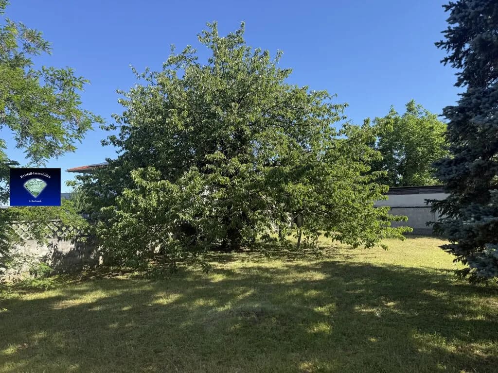 4-Zimmer-Haus kaufen in Wiener Neustadt Land – 120 m², € 370.000 – Bild 12 von 13