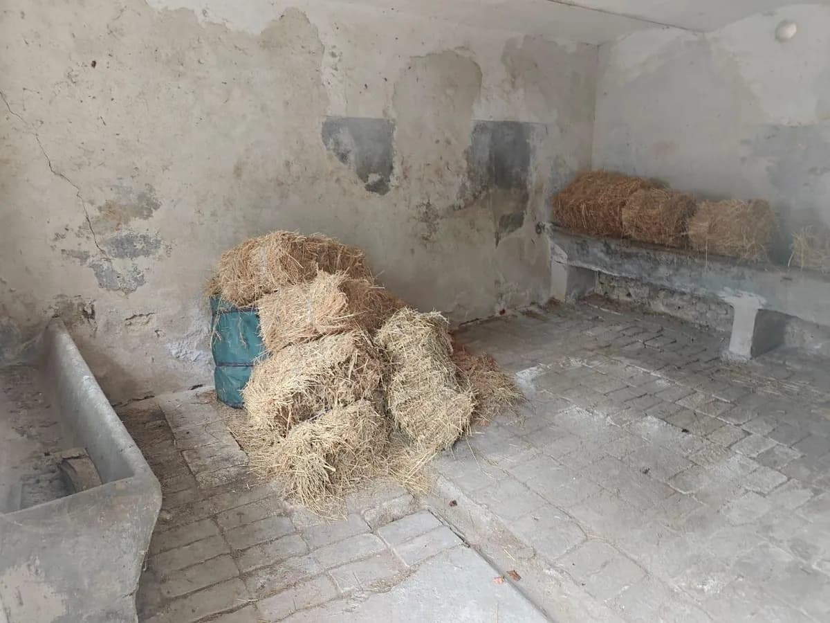 Immobilie kaufen in Eisenstadt - Umgebung – 121 m², € 295.000 – Bild 29 von 32