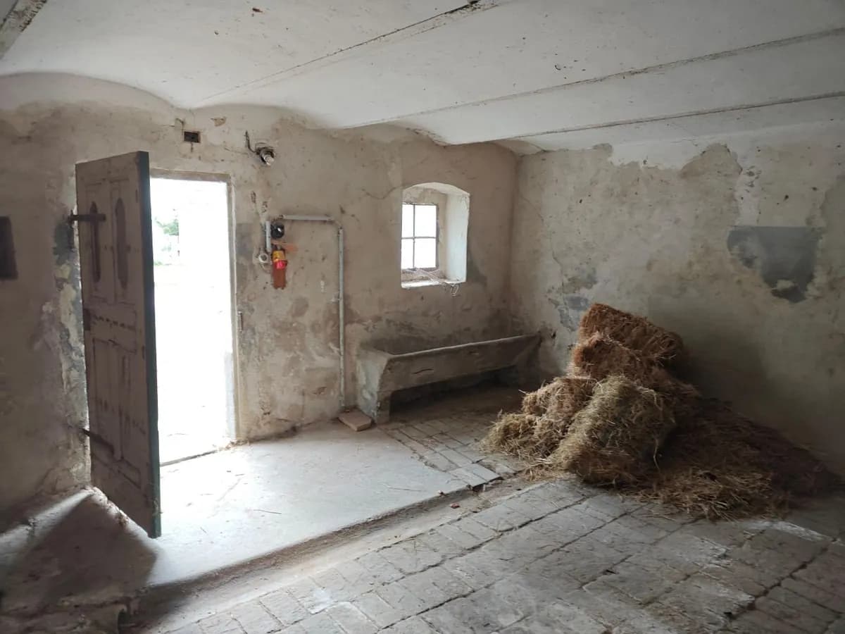 Immobilie kaufen in Eisenstadt - Umgebung – 121 m², € 295.000 – Bild 31 von 32