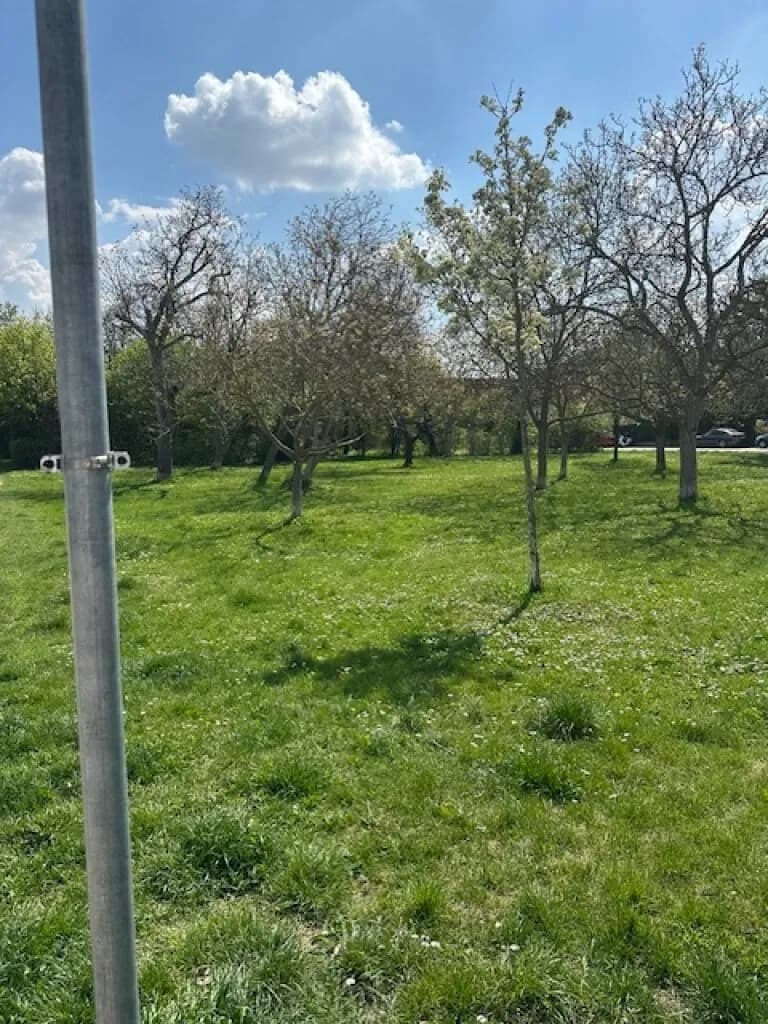 3-Zimmer-Haus mieten in Wien – 98,39 m², € 2.999 – Bild 30 von 33