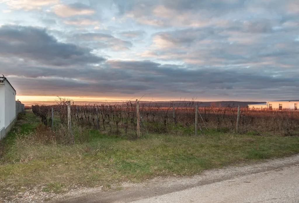 Grundstück kaufen in Neusiedl am See – 782 m², € 269.000