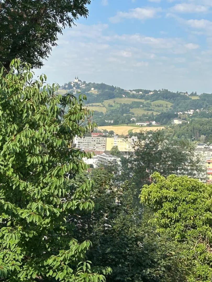 12-Zimmer-Gewerbeimmobilie kaufen in Linz – 420,55 m²