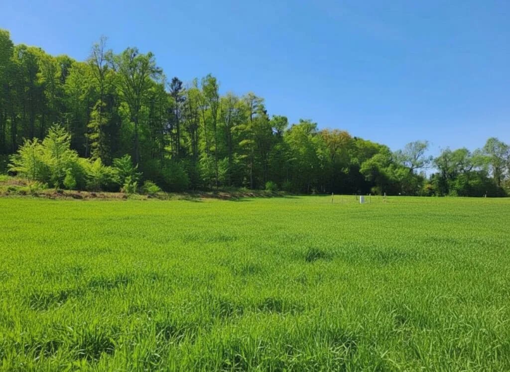 Grundstück kaufen in Südoststeiermark – 1 000 m²