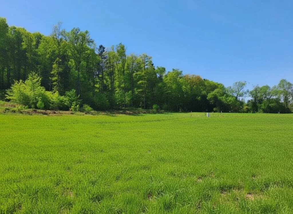 Grundstück kaufen in Südoststeiermark – 1 000 m² – Bild 2 von 8