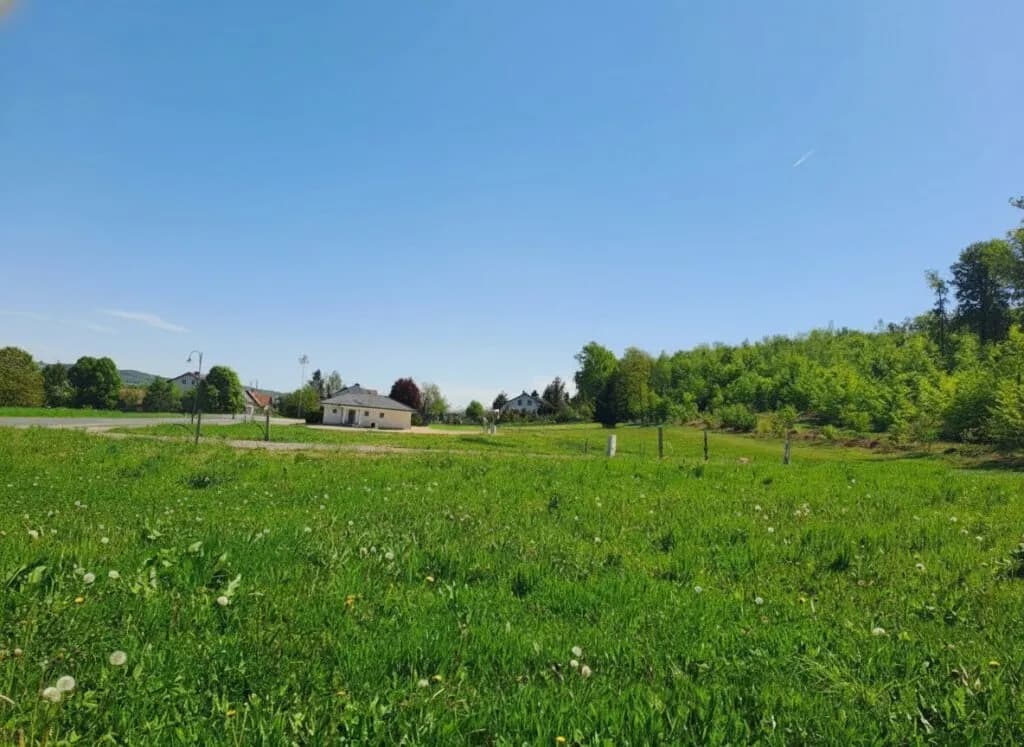 Grundstück kaufen in Südoststeiermark – 1 000 m² – Bild 3 von 8