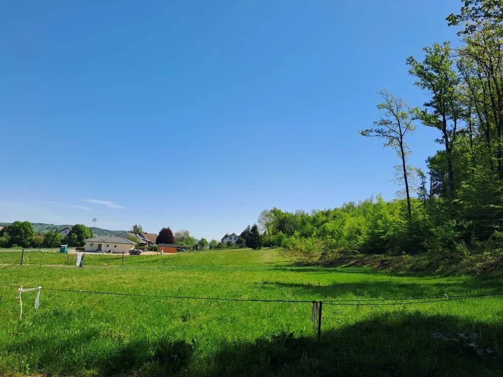 Grundstück kaufen in Südoststeiermark – 1 000 m² – Bild 5 von 8