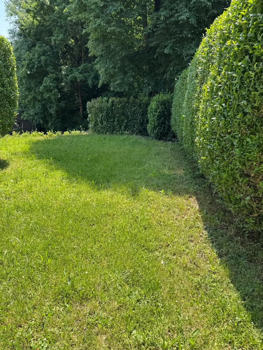Gewerbeimmobilie kaufen in Leibnitz – 460 m², € 890.000 – Bild 13 von 27