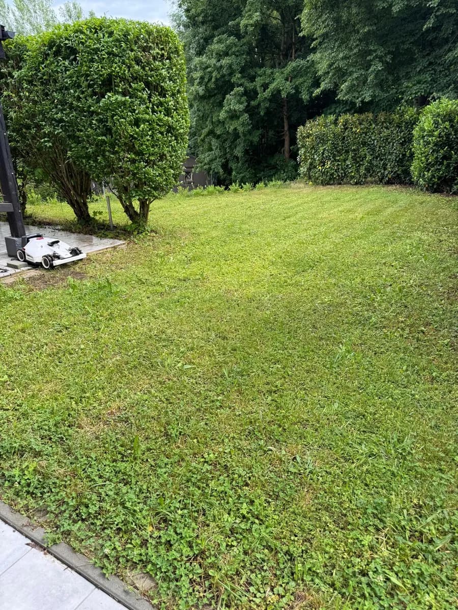 Gewerbeimmobilie kaufen in Leibnitz – 460 m², € 890.000 – Bild 23 von 27