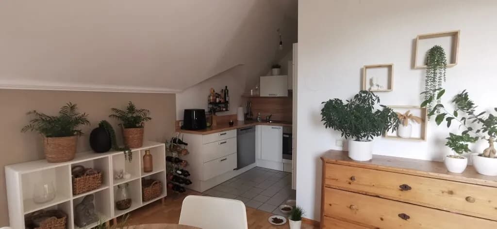 2-Zimmer-Wohnung mieten in Baden – 61,29 m², € 669