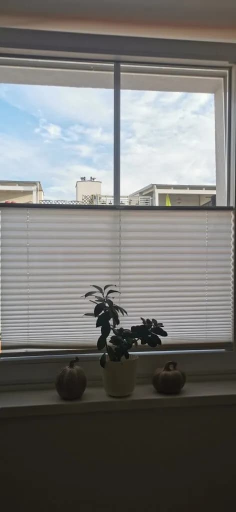 2-Zimmer-Wohnung mieten in Baden – 61,29 m², € 669 – Bild 10 von 25