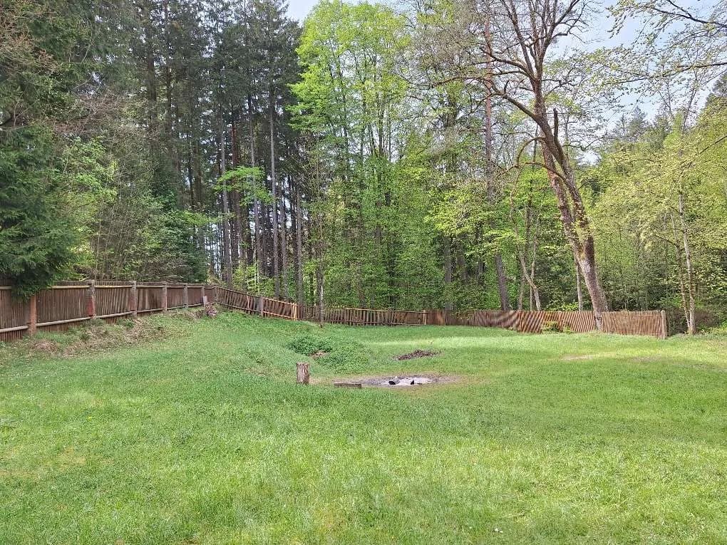 5-Zimmer-Immobilie mieten in Gmünd – 150 m², € 1.400 – Bild 3 von 18
