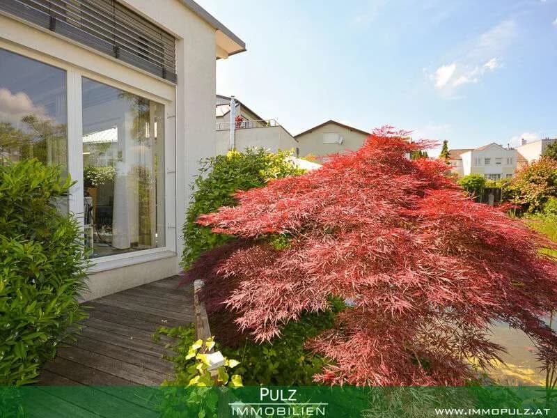 4-Zimmer-Haus kaufen in Mödling – 180 m², € 1.250.000 – Bild 6 von 22