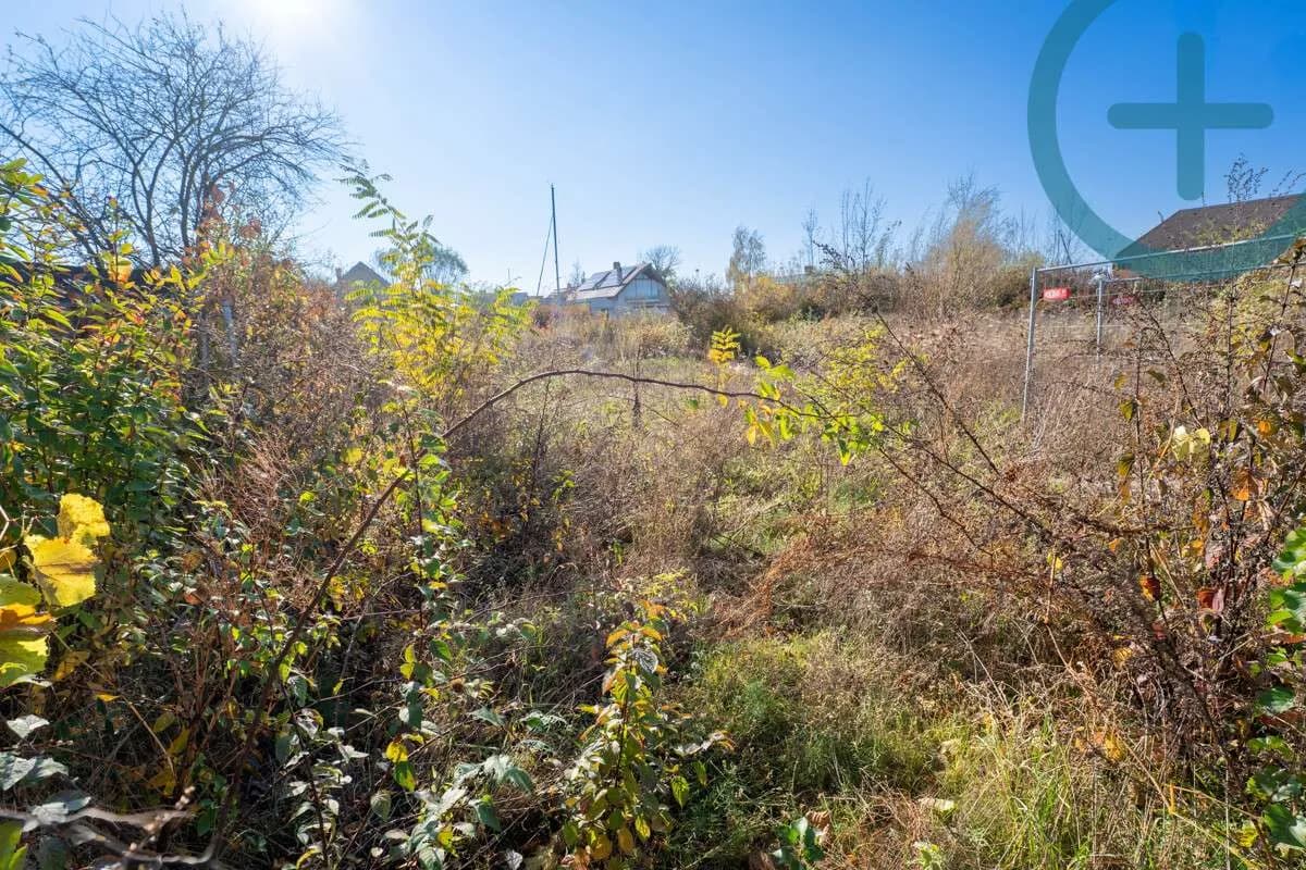Immobilie kaufen in Neusiedl am See – 1 170 m², € 2.500.000 – Bild 4 von 7
