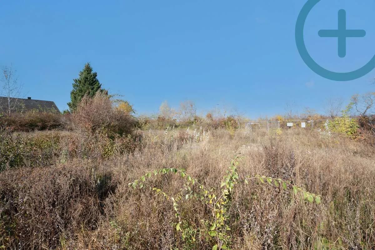 Immobilie kaufen in Neusiedl am See – 1 170 m², € 2.500.000 – Bild 5 von 7