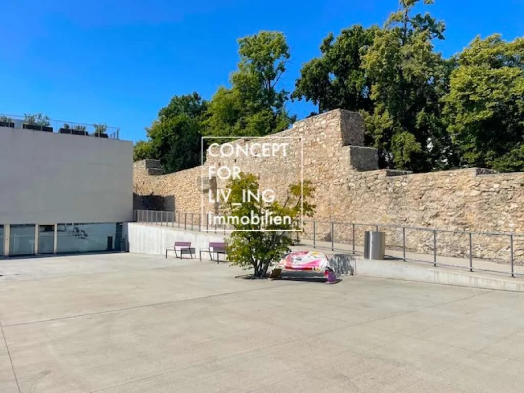 Gewerbeimmobilie kaufen in Wiener Neustadt – 256 m², € 460.000 – Bild 56 von 59