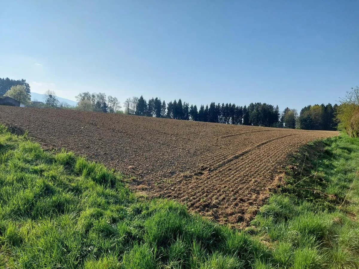 Grundstück kaufen in Wolfsberg – 2 977 m², € 280.000
