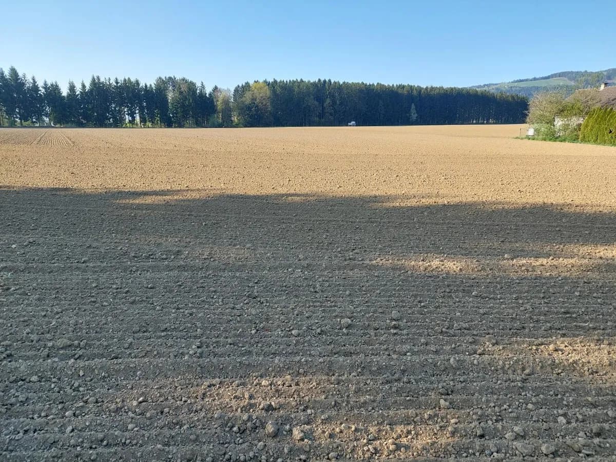 Grundstück kaufen in Wolfsberg – 2 977 m², € 280.000 – Bild 2 von 5