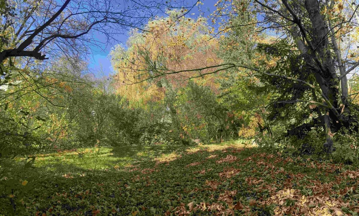 Grundstück kaufen in Sankt Pölten Land – 2 396 m², € 672.000 – Bild 4 von 9