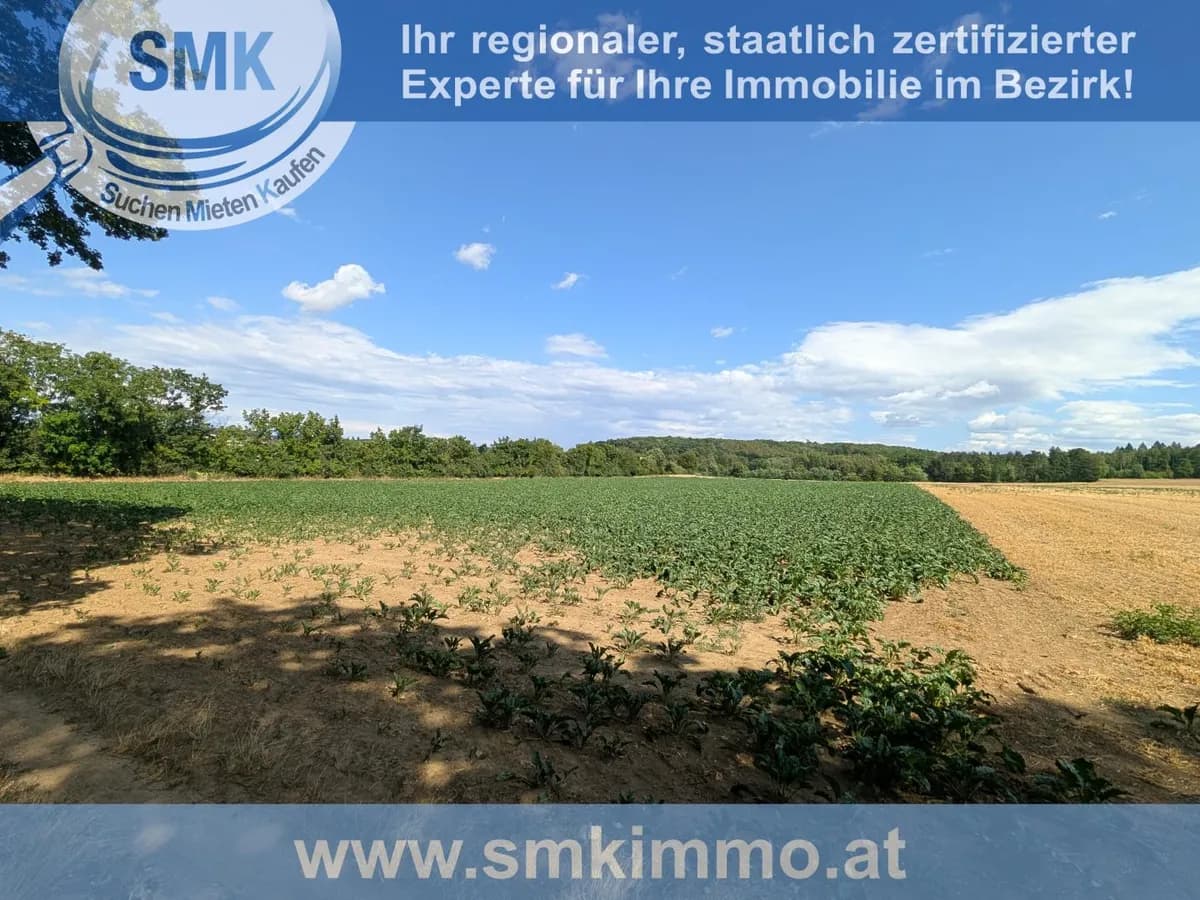 Grundstück kaufen in Hollabrunn – 10 161 m², € 101.610 – Bild 2 von 6