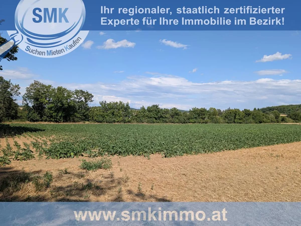 Grundstück kaufen in Hollabrunn – 10 161 m², € 101.610 – Bild 3 von 6