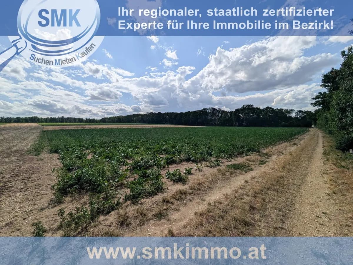 Grundstück kaufen in Hollabrunn – 10 161 m², € 101.610 – Bild 5 von 6