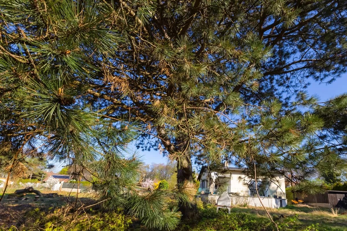 Grundstück kaufen in Tulln – 1 380 m², € 378.000 – Bild 9 von 14