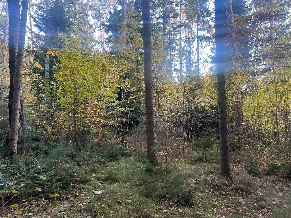 Grundstück kaufen in Graz – 30 482 m², € 149.000 – Bild 3 von 19