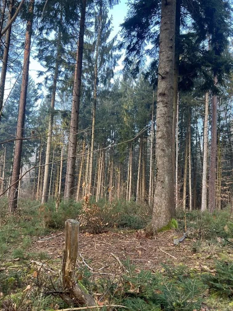 Grundstück kaufen in Graz – 30 482 m², € 149.000 – Bild 12 von 19