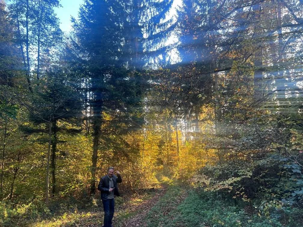 Grundstück kaufen in Graz – 30 482 m², € 149.000 – Bild 13 von 19