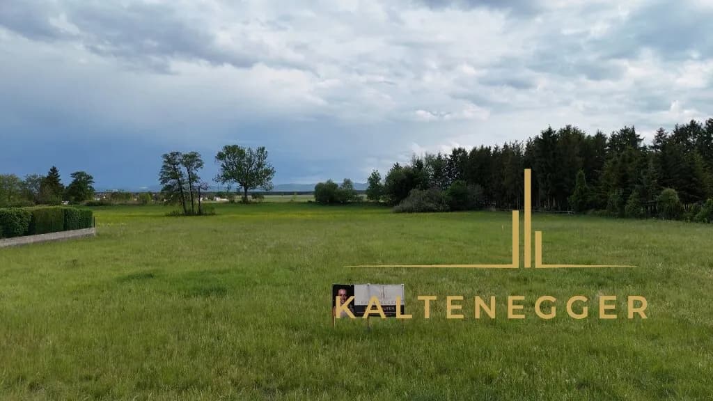 Grundstück kaufen in Wiener Neustadt Land – 2 939 m², € 199.000 – Bild 2 von 12
